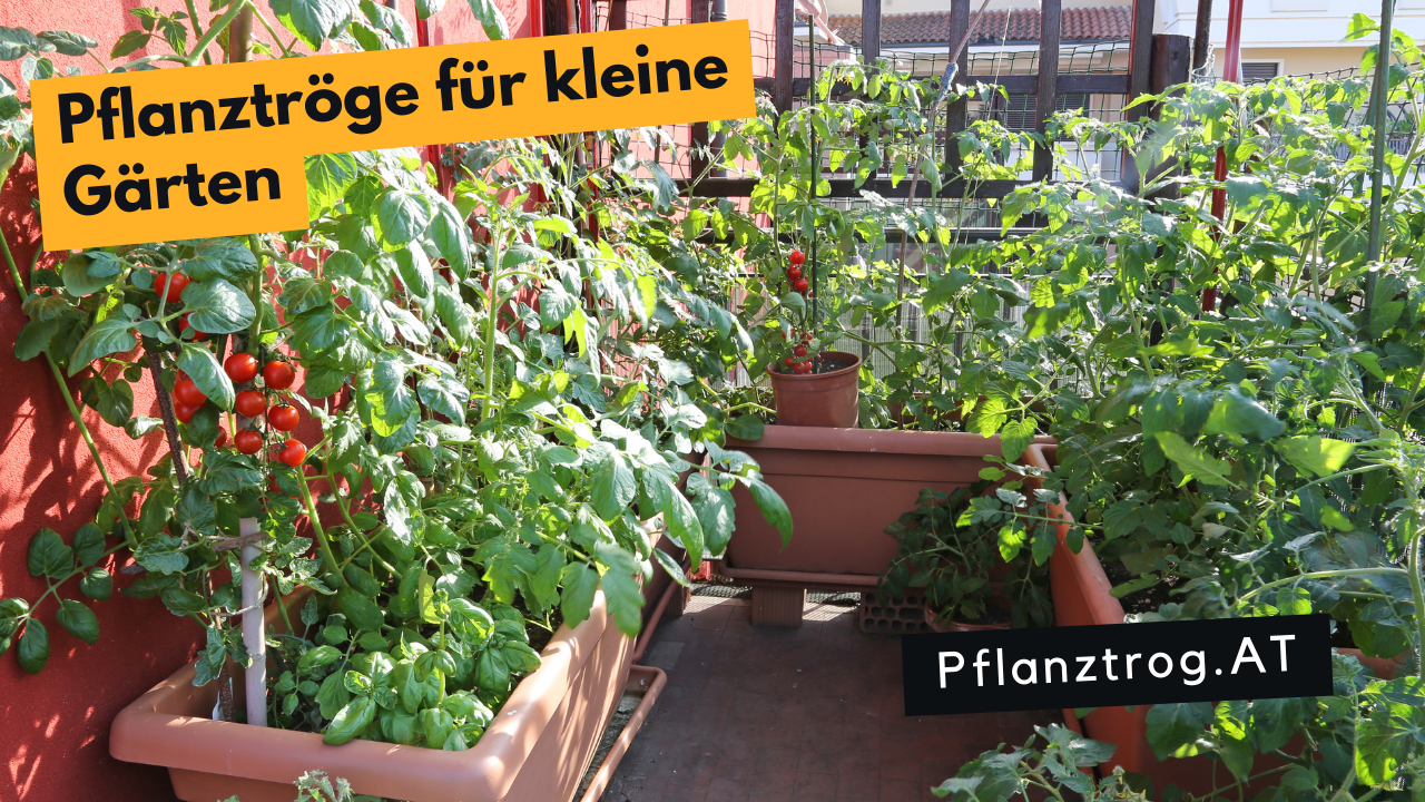 Kreative Pflanztröge für kleine Gärten: Optimieren Sie Ihren Außenbereich